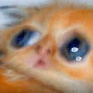 😳