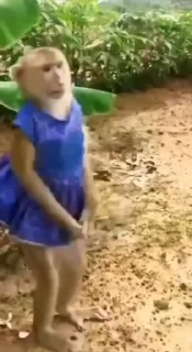 💃