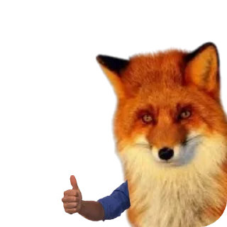 👍