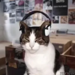 🎧