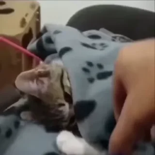 😴