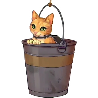 🐱