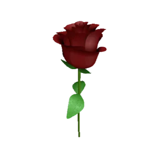 🌹