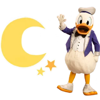 🌛