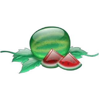 🍉