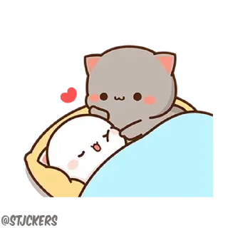 😻