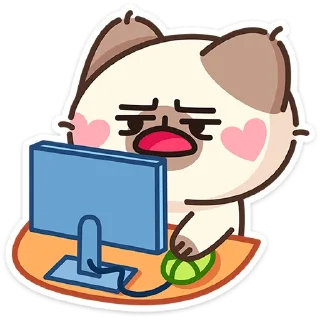 👨‍💻