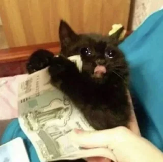 😭