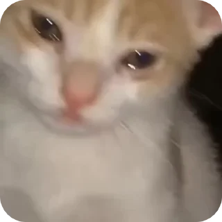 🥺
