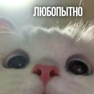 🤨