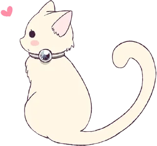 🐱