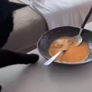 🍤