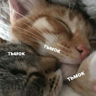 💋