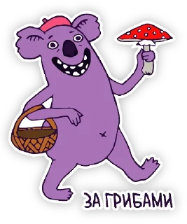 🍄