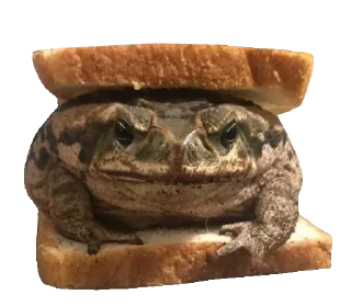 🐸