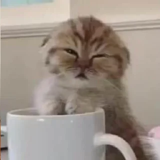 ☕️