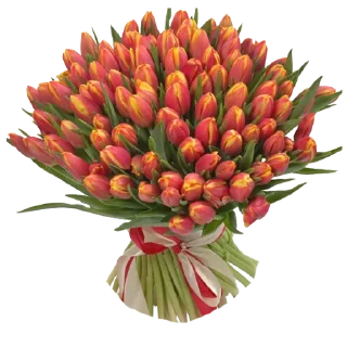 🌷