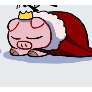 🐽
