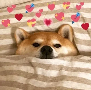 ❤️