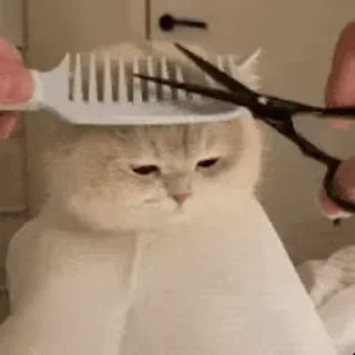 💇