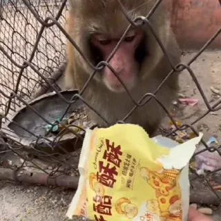 🤩