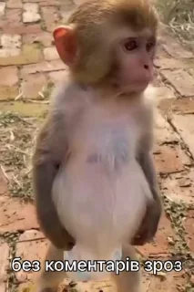 😶