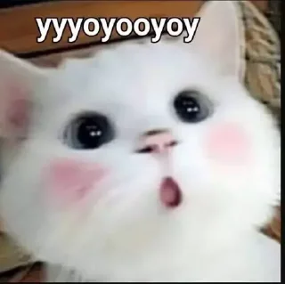 😯