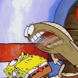 🧽