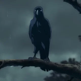 🐦‍⬛️