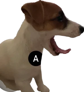 🆗