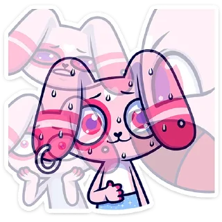 🐰