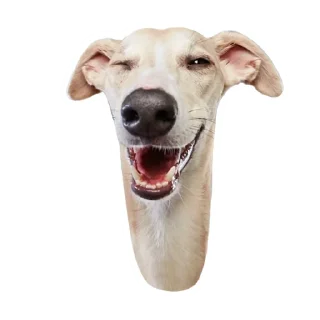 😉
