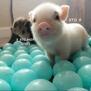 🙂