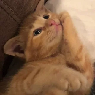 😌