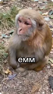 ⁉️