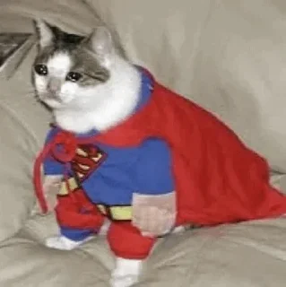 🥺