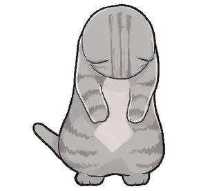 🐱