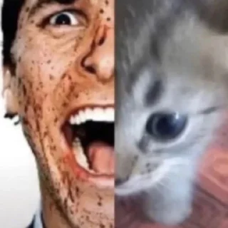 😼
