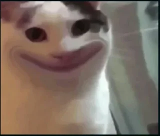 🙂