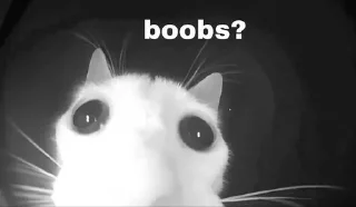 🥺