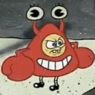 🧽