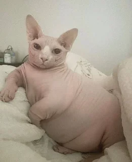 🤨