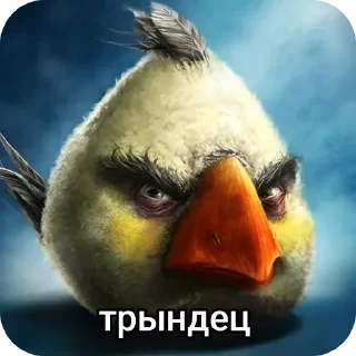 🐦