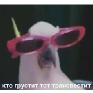 😁