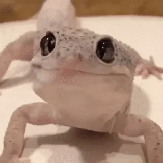 😎