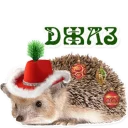 podaro4ki