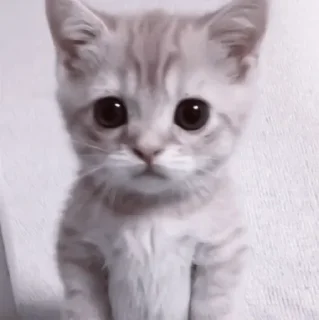 😐