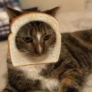 🍞