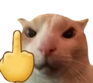 😡