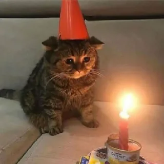 🥳